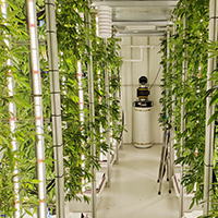 STULZ-Grow-Room-Pt-2-Webinar-Photo-Icon STULZ-Grow-Room-Pt-2-Webinar-Photo-Icon